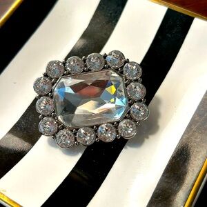 Beautiful Brooch pin